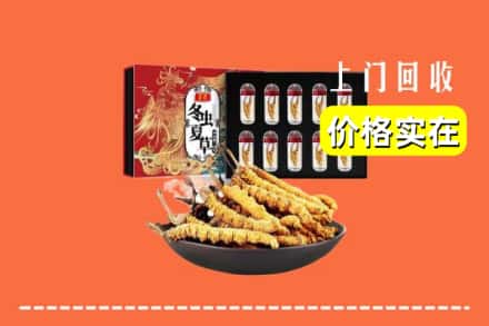 柳城县回收冬虫夏草